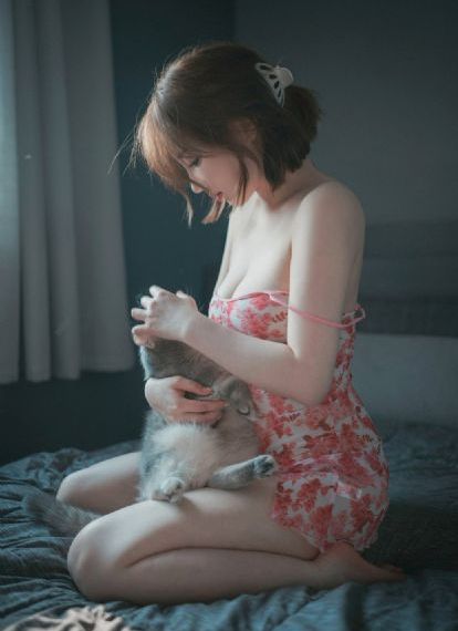 国产高精度adc芯片_DVD免费高清观看
